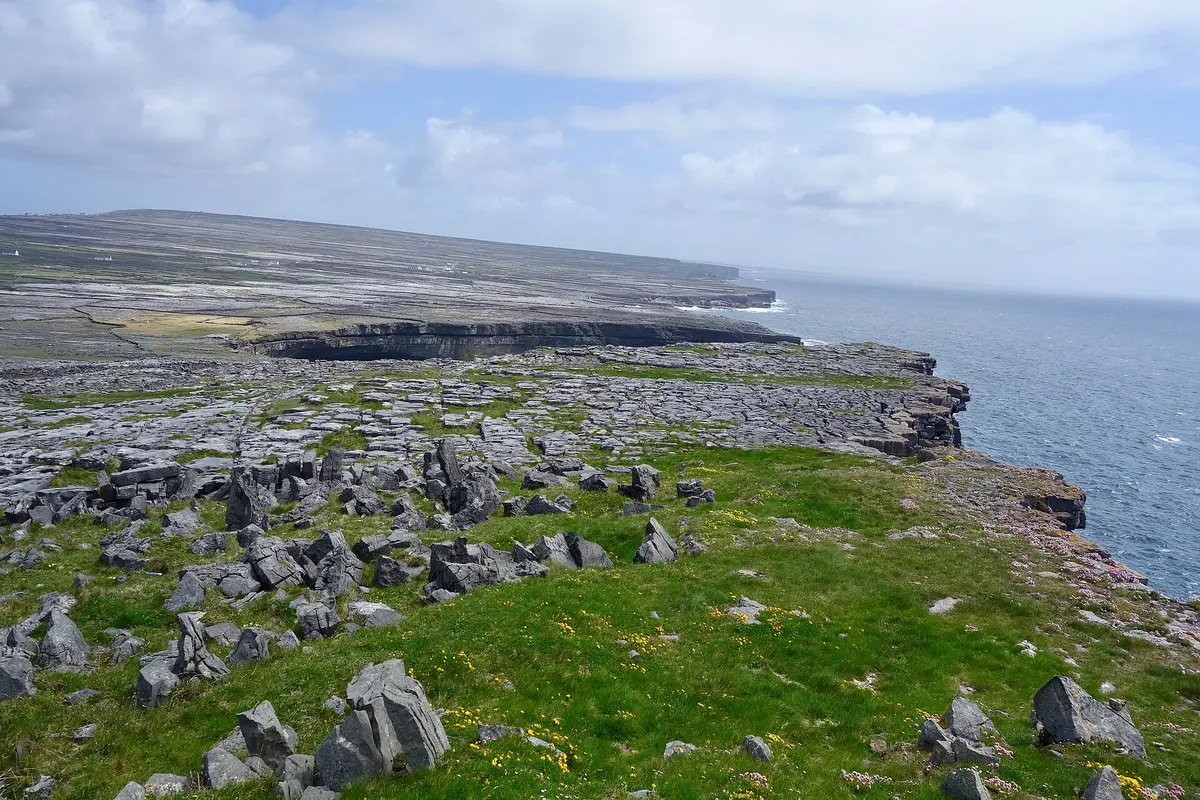 Grey limestone pavement and loose boulders on a grassy clifftop with small yellow and pink flowers, beside the sea, with the flat island and its dry-stone field walls beyond